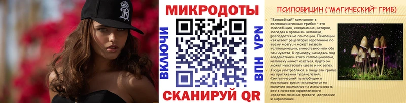 блэк спрут сайт  закладки  Фёдоровский  Псилоцибиновые грибы Psilocybine cubensis 